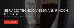 Servicio Técnico Viessmann Rincón de Soto 941229863