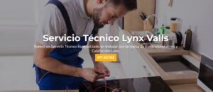Servicio Técnico Lynx Valls 977208381