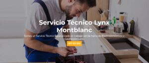 Servicio Técnico Lynx Montblanc 977208381