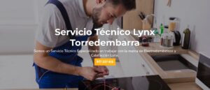 Servicio Técnico Lynx Torredembarra 977208381