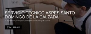 Servicio Técnico Aspes Santo Domingo de la Calzada 941229863