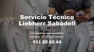 Servicio Técnico Liebherr Sabadell 931 89 00 44