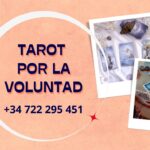 LECTURAS DE TAROT POR LA VOLUNTAD - Alzira